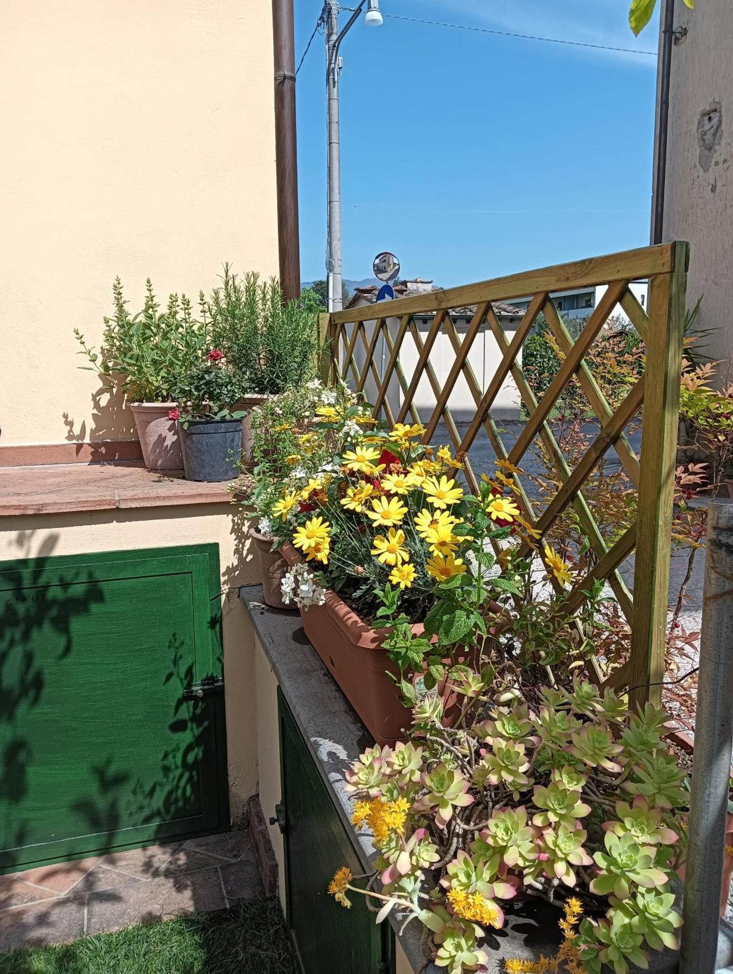 Casa Vacanze Rustico Di Corte Capannori Exterior photo